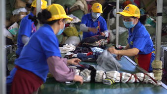 閑魚回收一萬噸舊衣服想干啥 它們?cè)偕闪舜笈锉乇?環(huán)保袋和勞保手套